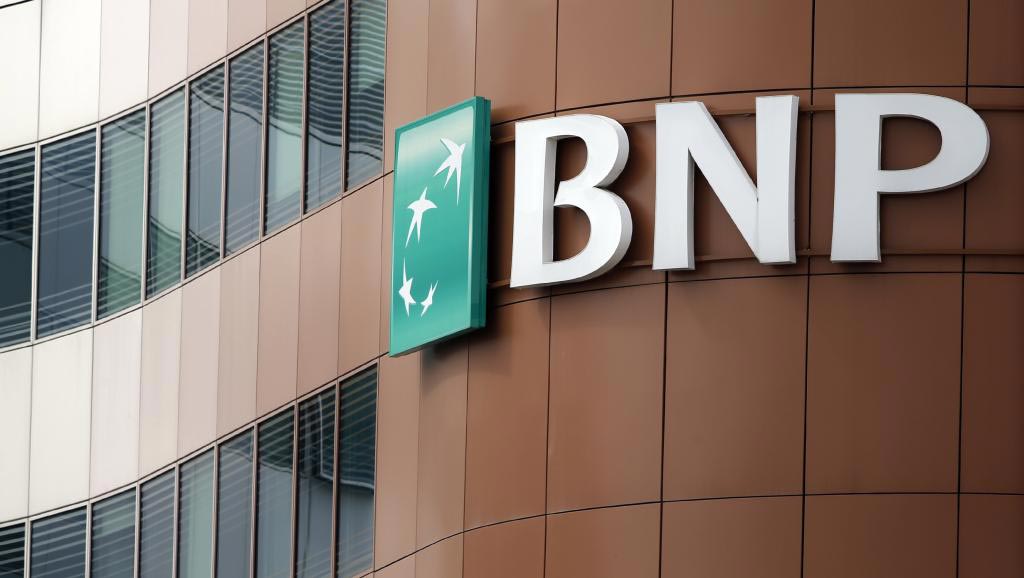 اطلس CVCهای غذا و سلامت: BNP Paribas Développement اطلس CVCهای غذا و سلامت: BNP Paribas Développement