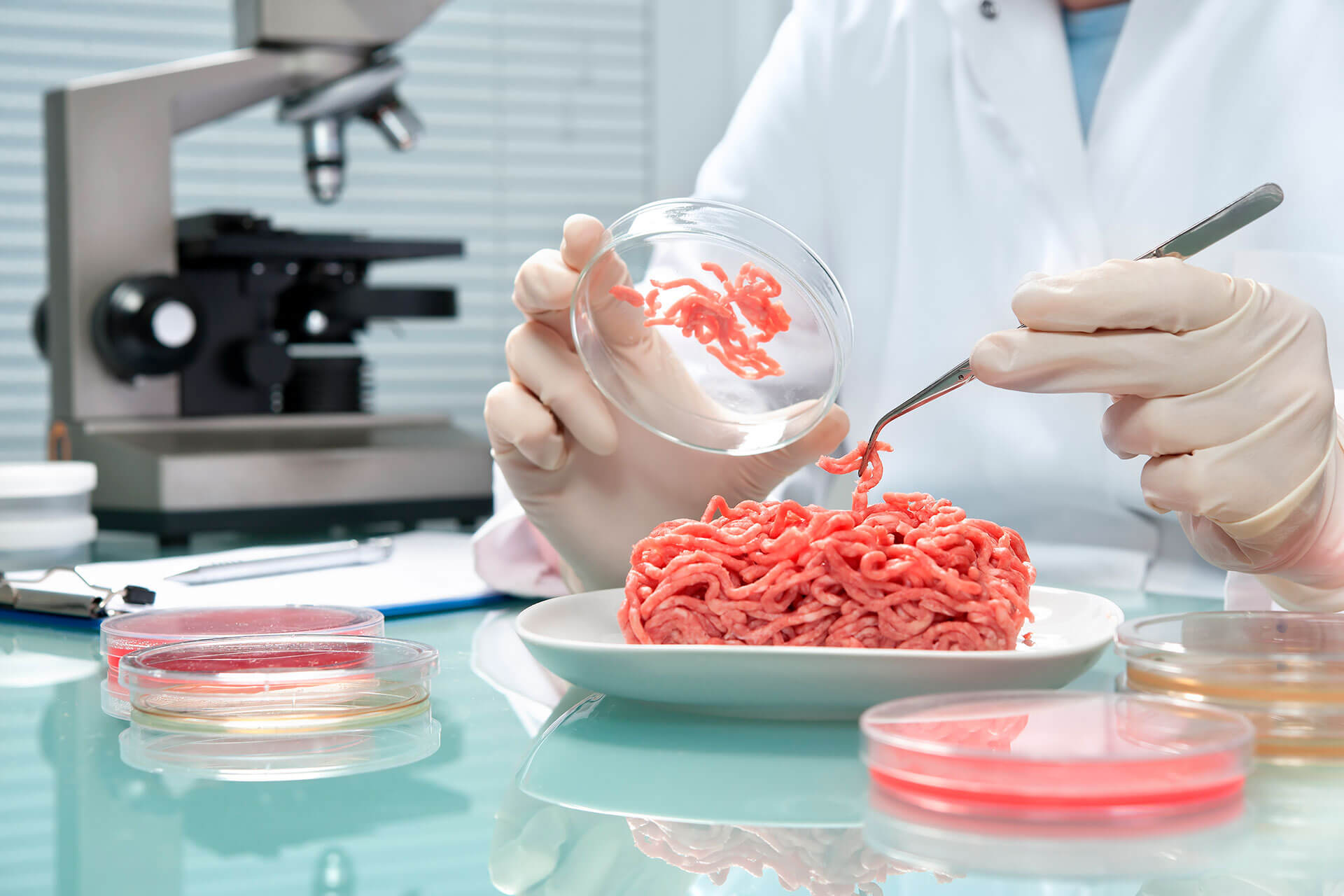 دیپ‌تک در امنیت غذایی: از داده تا تصمیم سرمایه‌گذاری